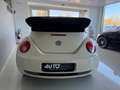 Volkswagen New Beetle 1.9 TDI 105CV Cabrio Blanc - thumbnail 3