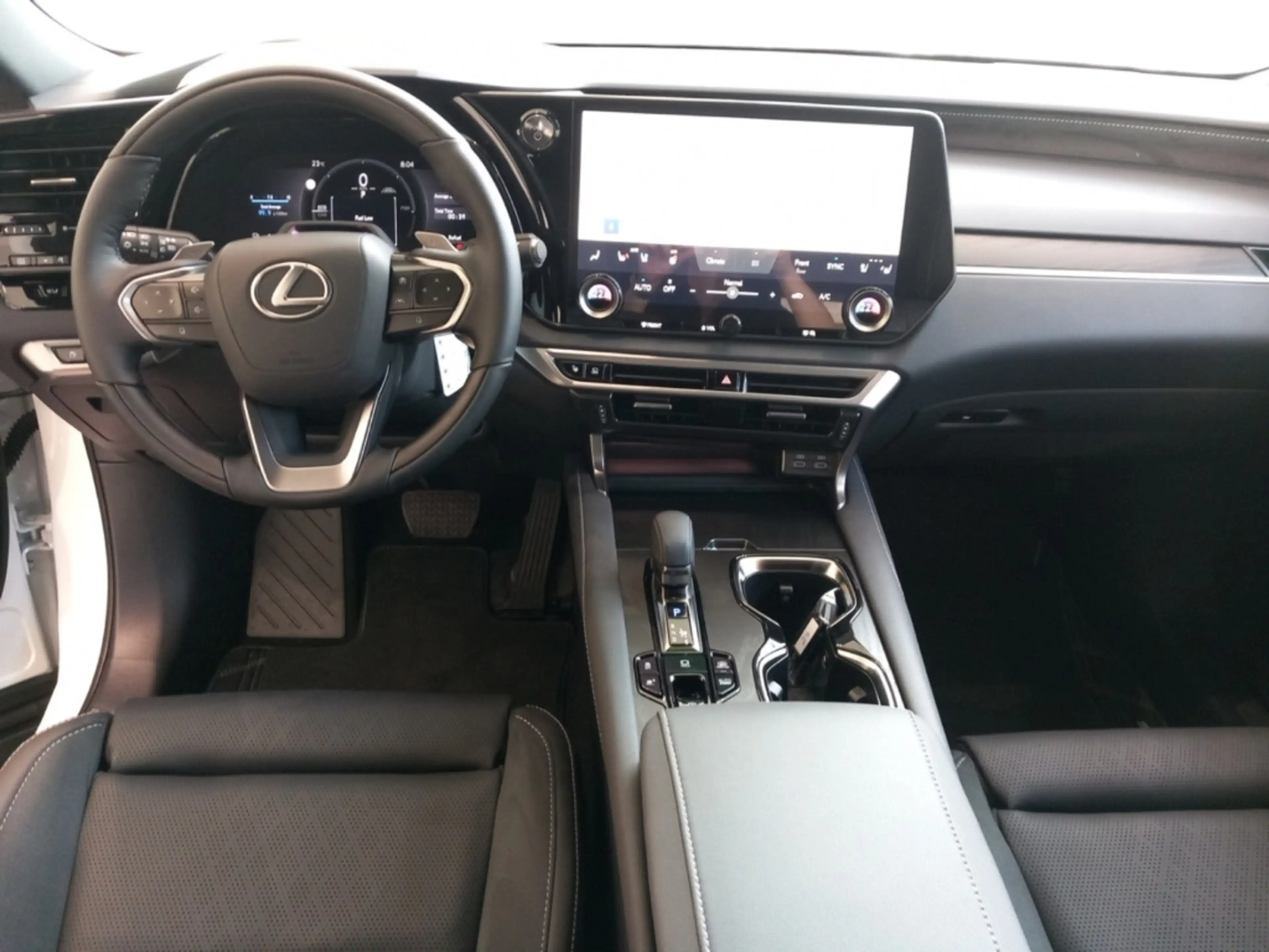 Lexus RX 450h + 2,5 l E-CVT, 4x4 Plug-in 5-Türer LUXURY — photo 10