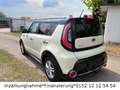 Kia Soul Spirit Weiß - thumbnail 8