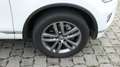 Volkswagen Touareg Terrain Tech StylePaket AHK/R-Cam/8xAlu Weiß - thumbnail 10