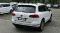 Volkswagen Touareg Terrain Tech StylePaket AHK/R-Cam/8xAlu Weiß - thumbnail 5