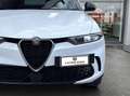 Alfa Romeo Tonale 1.6 Super 130cv tct6 Con NAVIGATORE Blanc - thumbnail 4