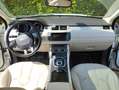 Land Rover Range Rover Evoque Range Rover Evoque I 2012 2.2 sd4 190cv Bianco - thumbnail 6