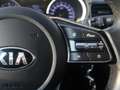 Kia Ceed SW / cee'd SW Sportswagon 1.0 T-GDi DynamicLine | Cruise | Clima Gris - thumbnail 13