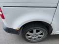 Volkswagen Caddy Kombi Trendline 2,0 TDI DPF 4MOTION DSG ID:31 Weiß - thumbnail 9