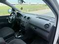 Volkswagen Caddy Kombi Trendline 2,0 TDI DPF 4MOTION DSG ID:31 Weiß - thumbnail 10