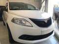 Lancia Ypsilon 1.0 hybrid silver 70cv-KMZERO-VARI COLORI Bianco - thumbnail 1