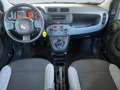Fiat New Panda - Panda 1.0 firefly hybrid s&s 70cv Brun - thumbnail 12