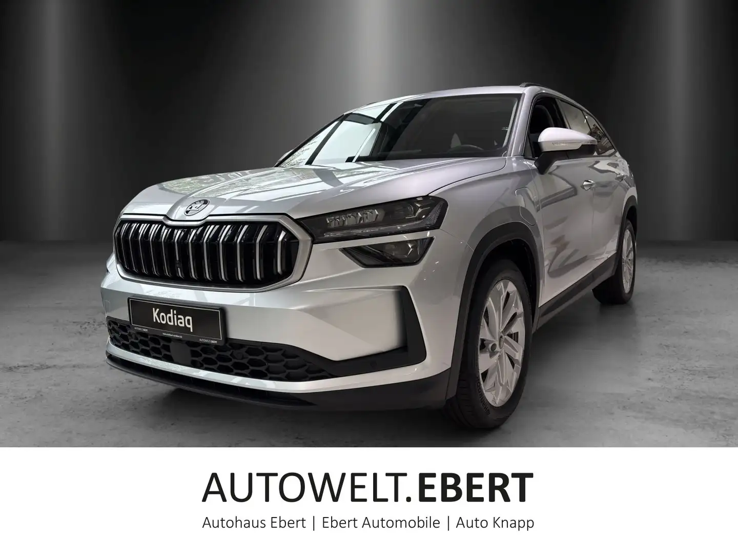 Skoda Kodiaq Selection 1,5 TSI iV 150 kW DSG Zilver - 1