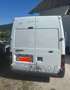 Ford Transit Bus T280 - thumbnail 3