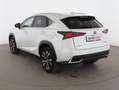 Lexus NX 300 300h Premium 2WD Blanco - thumbnail 4