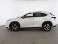 Lexus NX 300 300h Premium 2WD Blanco - thumbnail 3
