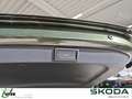 Skoda Octavia Combi Sportline Grün - thumbnail 12