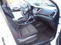 Hyundai TUCSON blue Blanc - thumbnail 10