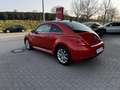 Volkswagen Beetle 1.2 TSI BMT Club Navi Klima Oranj - thumbnail 4