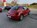 Volkswagen Beetle 1.2 TSI BMT Club Navi Klima Oranj - thumbnail 6