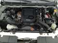 Isuzu D-Max 1.9 163cv Blanc - thumbnail 25