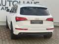 Audi Q5 3.0 TDI (180 kW) quattro Weiß - thumbnail 6