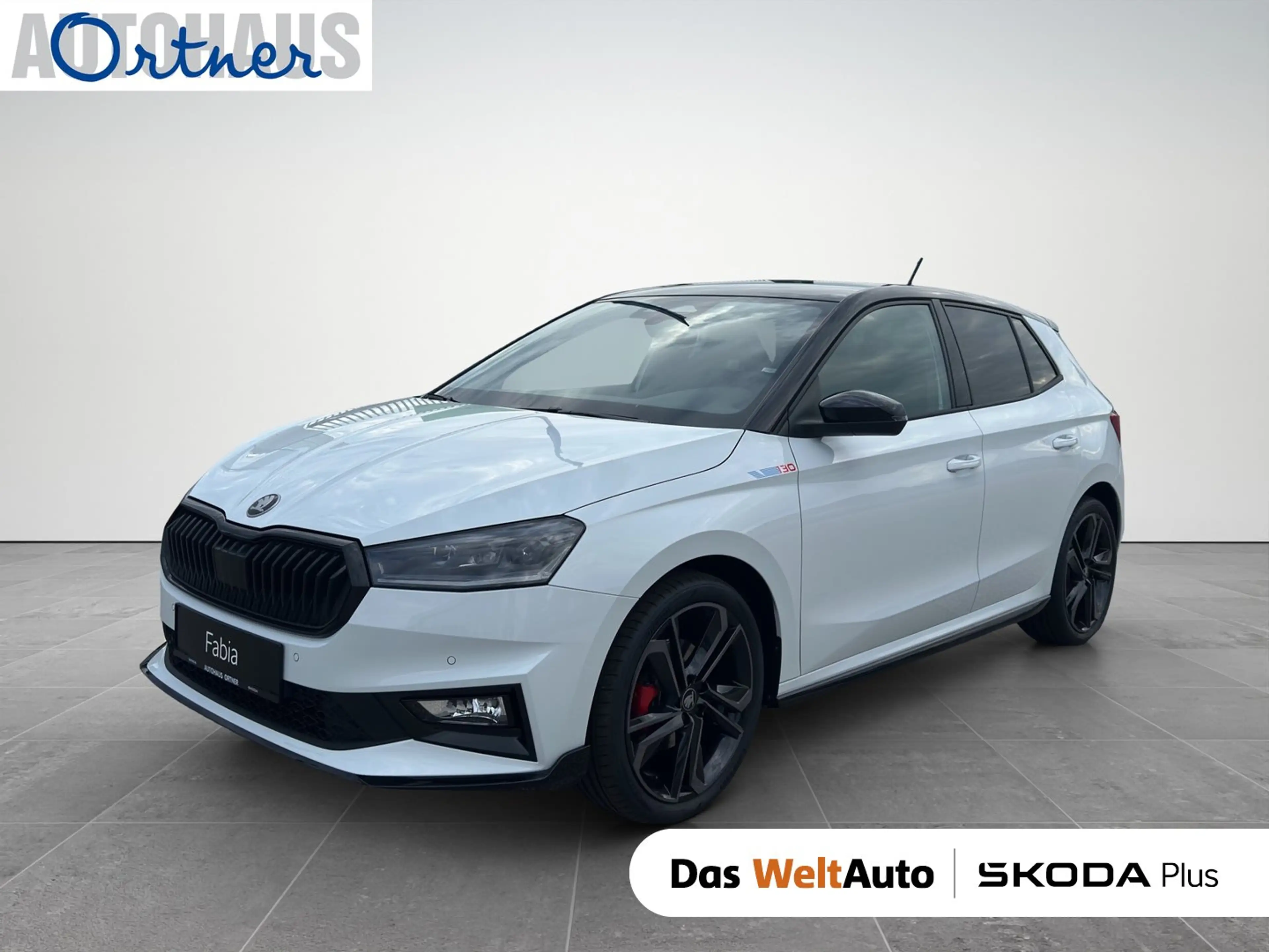 Skoda Fabia 130