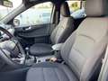 Ford Kuga Kuga 1.5 Ecoblue ST-Line 2wd 120cv Blu/Azzurro - thumbnail 11