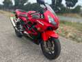 Honda CBR 600 F Sport*HU/AU NEU* Rouge - thumbnail 3