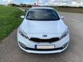 Kia ProCeed / pro_cee'd Ceed 1.6 GDI Edition 7 Weiß - thumbnail 4