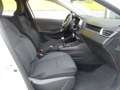Renault Clio Blanc - thumbnail 11