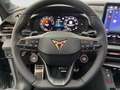 CUPRA Terramar 2.0 TSI DSG 4Drive VZ PANO TOP VIEW Grau - thumbnail 14