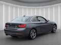 BMW 225 d Coupe Sport Line*Autom AHK Leder Harm/Kard Grau - thumbnail 4