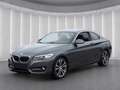 BMW 225 d Coupe Sport Line*Autom AHK Leder Harm/Kard Grau - thumbnail 2