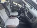 Fiat Panda Panda Cross 0.9 TwinAir Turbo S&S 4x4 Verde - thumbnail 9
