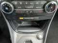 Ford Puma ST-Line LED+Alwetter+Kamera+Winterpaket Grijs - thumbnail 13