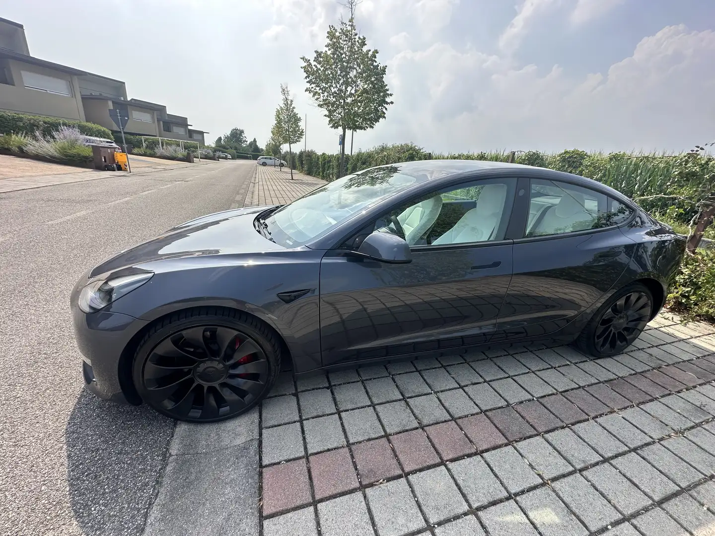 Tesla Model 3 Performance Dual Motor awd - 2