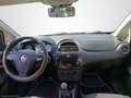 Fiat Punto 1.2 8V 5P Easy - thumbnail 7