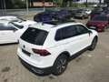 Volkswagen Tiguan 1.4 TSI eHybrid Elegance, Leder, AHK, LED Weiß - thumbnail 16