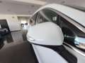 Hyundai SANTA FE 1.6 TGDi HEV Tecno Auto 4x2 Blanco - thumbnail 37