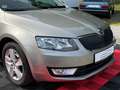 Skoda Octavia Combi Elegance Beige - thumbnail 7