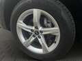 Audi Q5 40 TDI quattro intense Grau - thumbnail 20