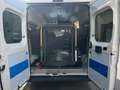 Fiat Ducato 2.3 MJT 120CV ALL.DISABILI CON PEDANA Fehér - thumbnail 13