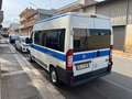 Fiat Ducato 2.3 MJT 120CV ALL.DISABILI CON PEDANA Fehér - thumbnail 6