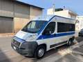Fiat Ducato 2.3 MJT 120CV ALL.DISABILI CON PEDANA Fehér - thumbnail 7