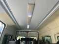 Fiat Ducato 2.3 MJT 120CV ALL.DISABILI CON PEDANA Weiß - thumbnail 19