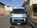Fiat Ducato 2.3 MJT 120CV ALL.DISABILI CON PEDANA Fehér - thumbnail 8
