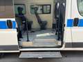 Fiat Ducato 2.3 MJT 120CV ALL.DISABILI CON PEDANA Fehér - thumbnail 10