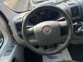 Fiat Ducato 2.3 MJT 120CV ALL.DISABILI CON PEDANA Weiß - thumbnail 18