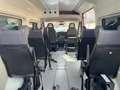 Fiat Ducato 2.3 MJT 120CV ALL.DISABILI CON PEDANA Fehér - thumbnail 15