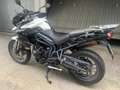 Triumph Tiger 800 ABS Biały - thumbnail 6
