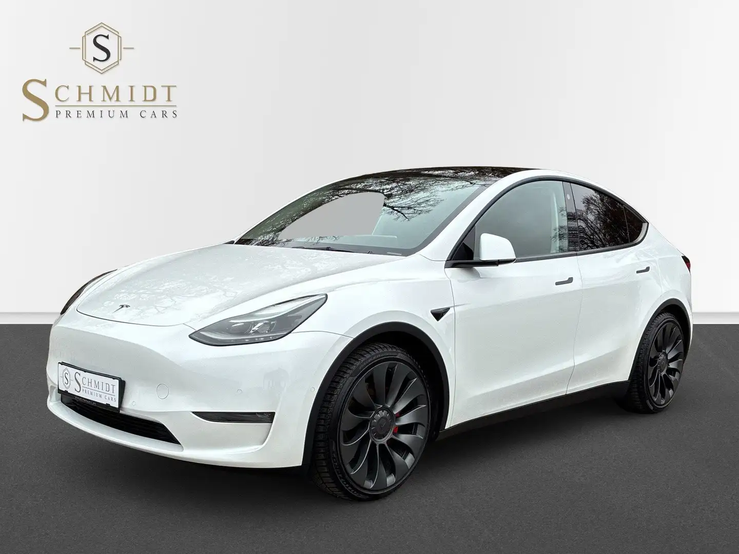 Tesla Model Y Performance Dual AWD Weiß - 1