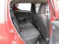 Suzuki Alto 1.0 Comfort Plus /AIRCO/CV/Radio-cd speler/Stuurbe Rouge - thumbnail 16