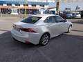 Lexus IS 300 300h Luxury Blanc - thumbnail 4